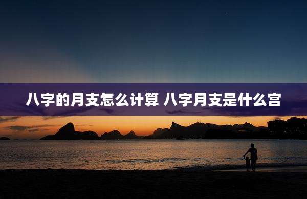 八字的月支怎么计算 八字月支是什么宫