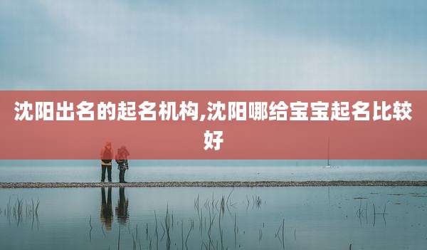 沈阳出名的起名机构,沈阳哪给宝宝起名比较好