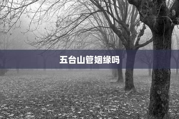 五台山管姻缘吗