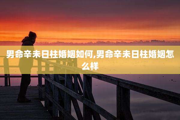 男命辛未日柱婚姻如何,男命辛未日柱婚姻怎么样