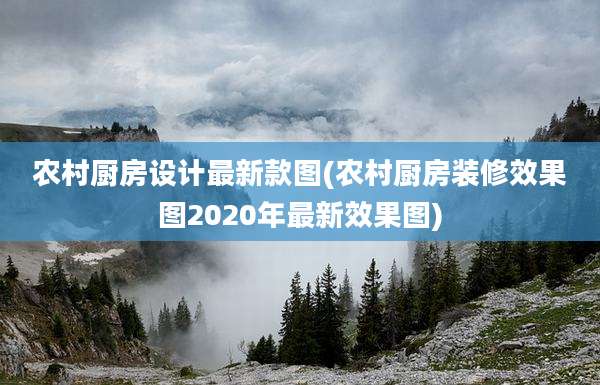 农村厨房设计最新款图(农村厨房装修效果图2020年最新效果图)