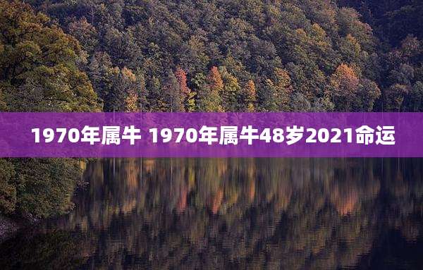 1970年属牛 1970年属牛48岁2021命运