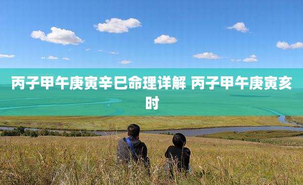丙子甲午庚寅辛巳命理详解 丙子甲午庚寅亥时