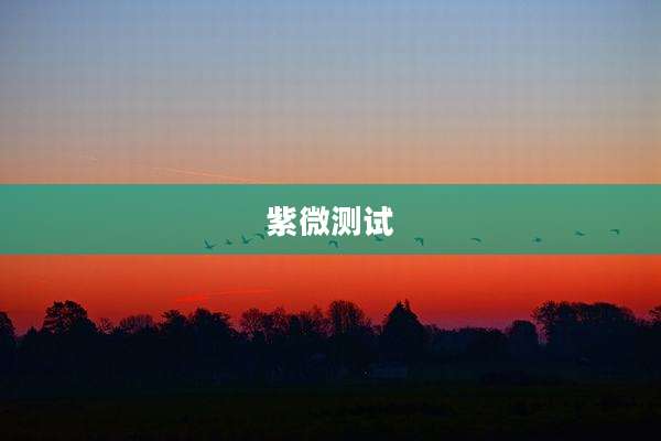 紫微测试