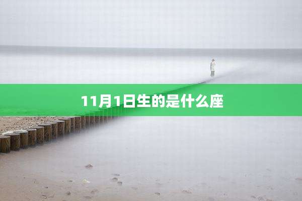 11月1日生的是什么座