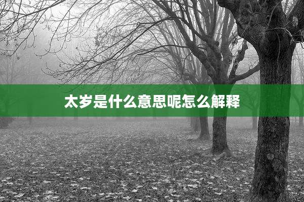 太岁是什么意思呢怎么解释