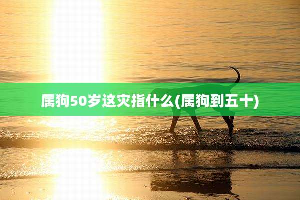 属狗50岁这灾指什么(属狗到五十)