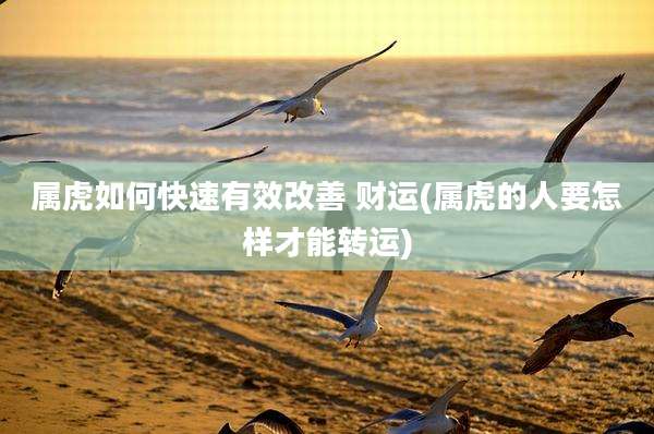 属虎如何快速有效改善 财运(属虎的人要怎样才能转运)