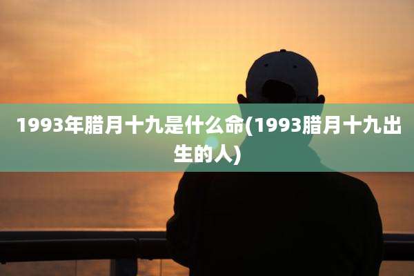 1993年腊月十九是什么命(1993腊月十九出生的人)