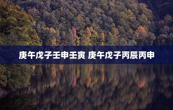庚午戊子壬申壬寅 庚午戊子丙辰丙申