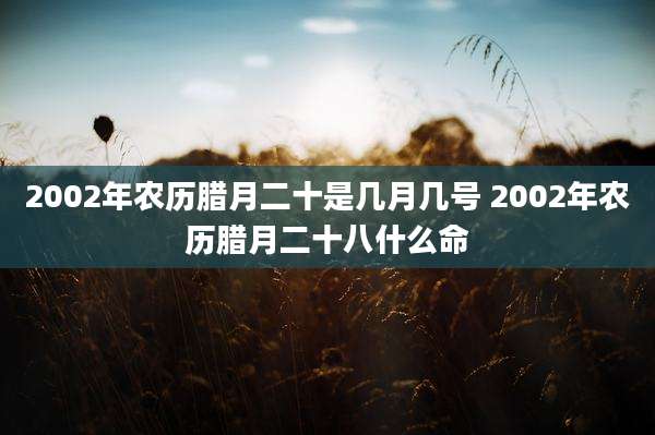 2002年农历腊月二十是几月几号 2002年农历腊月二十八什么命