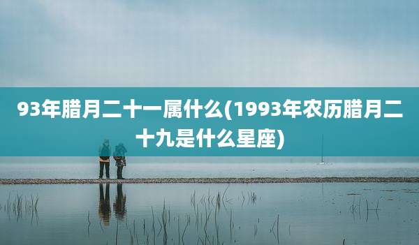 93年腊月二十一属什么(1993年农历腊月二十九是什么星座)