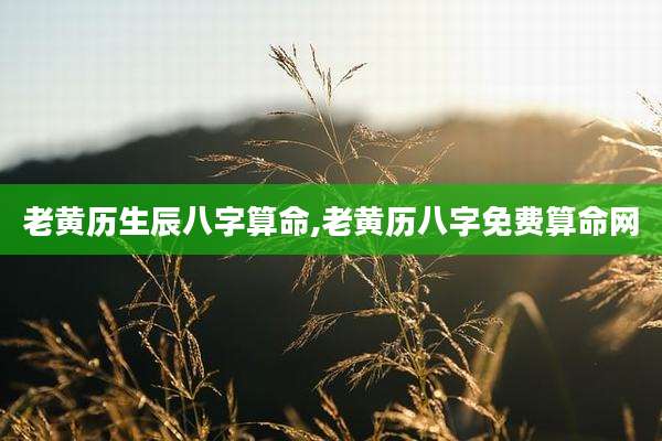 老黄历生辰八字算命,老黄历八字免费算命网