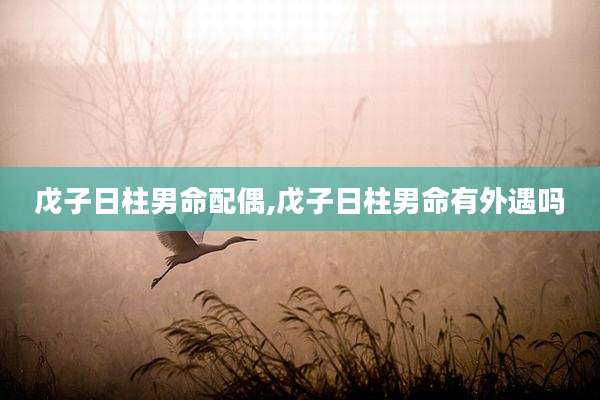 戊子日柱男命配偶,戊子日柱男命有外遇吗