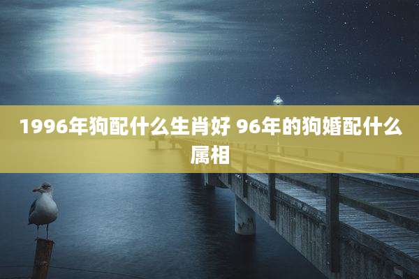 1996年狗配什么生肖好 96年的狗婚配什么属相