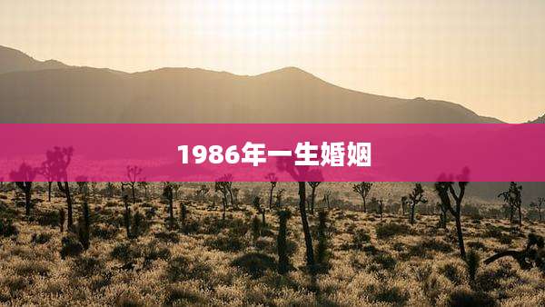 1986年一生婚姻
