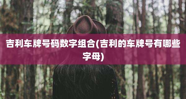吉利车牌号码数字组合(吉利的车牌号有哪些字母)
