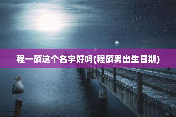 程一硕这个名字好吗(程硕男出生日期)