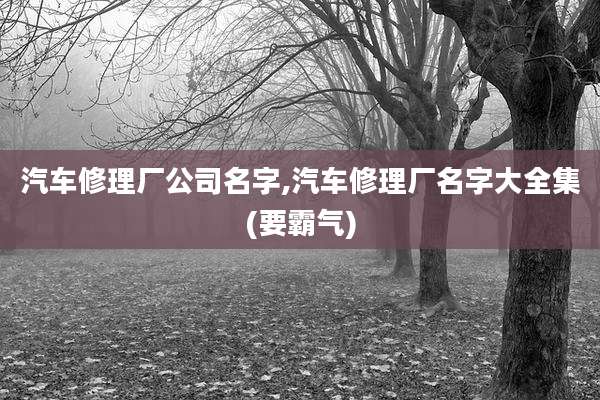 汽车修理厂公司名字,汽车修理厂名字大全集(要霸气)