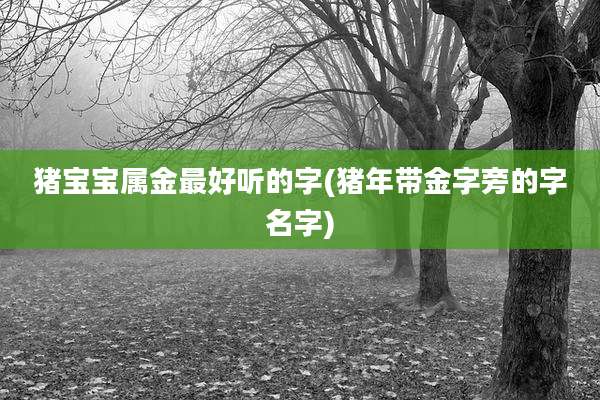 猪宝宝属金最好听的字(猪年带金字旁的字名字)