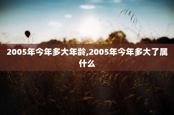 2005年今年多大年龄,2005年今年多大了属什么