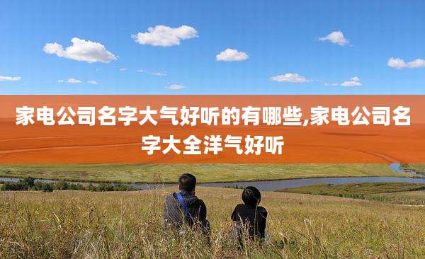家电公司名字大气好听的有哪些,家电公司名字大全洋气好听