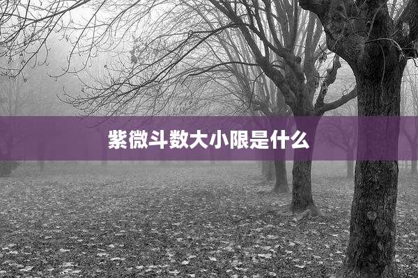 紫微斗数大小限是什么