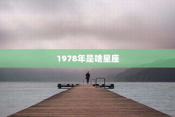 1978年是啥星座