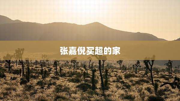 张嘉倪买超的家