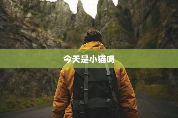 今天是小猫吗