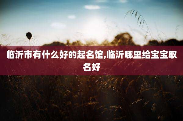 临沂市有什么好的起名馆,临沂哪里给宝宝取名好