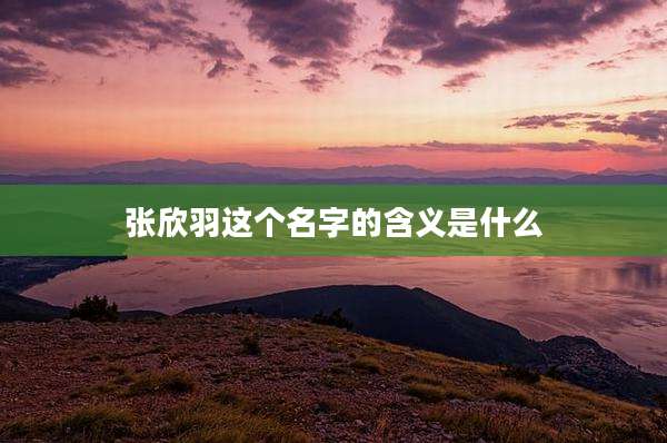张欣羽这个名字的含义是什么