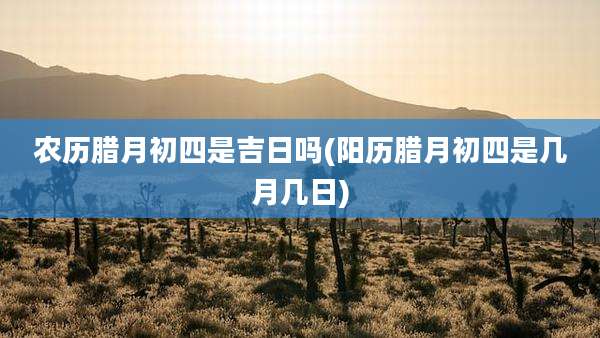 农历腊月初四是吉日吗(阳历腊月初四是几月几日)