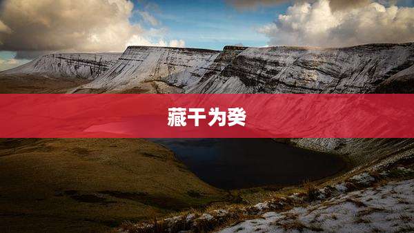藏干为癸