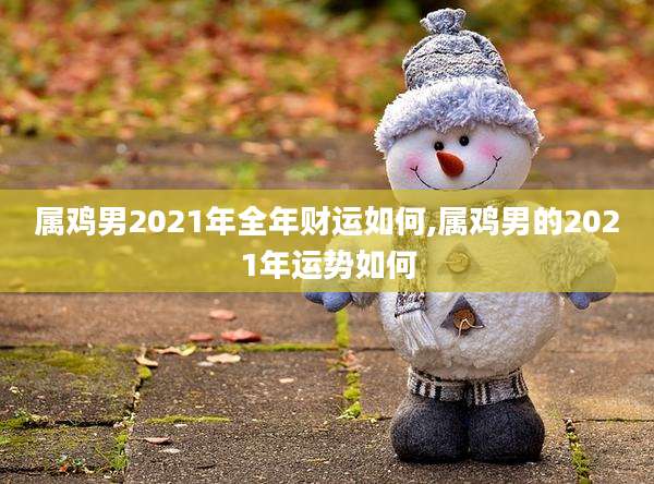 属鸡男2021年全年财运如何,属鸡男的2021年运势如何