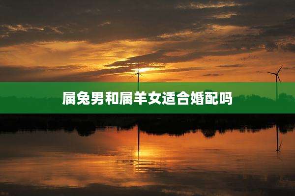 属兔男和属羊女适合婚配吗