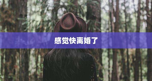 感觉快离婚了