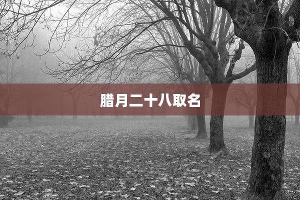 腊月二十八取名
