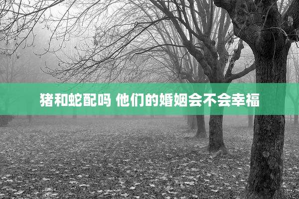 猪和蛇配吗 他们的婚姻会不会幸福