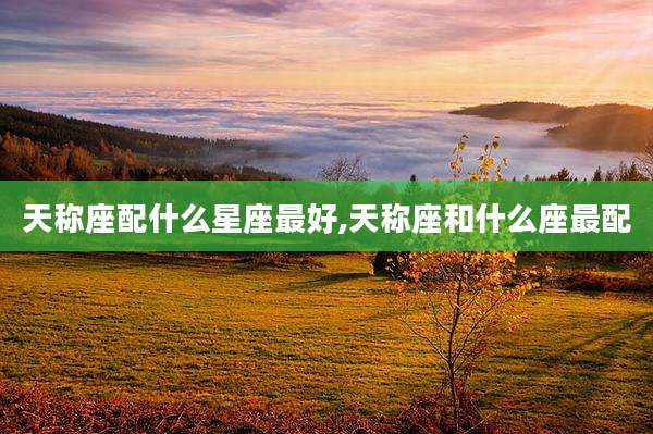 天称座配什么星座最好,天称座和什么座最配