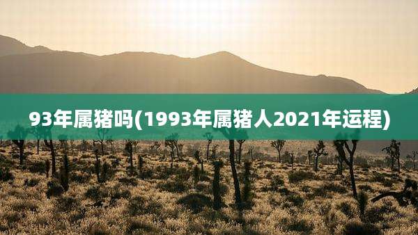 93年属猪吗(1993年属猪人2021年运程)