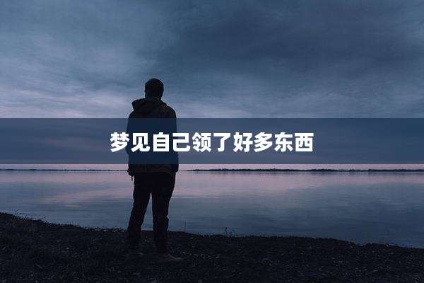 梦见自己领了好多东西