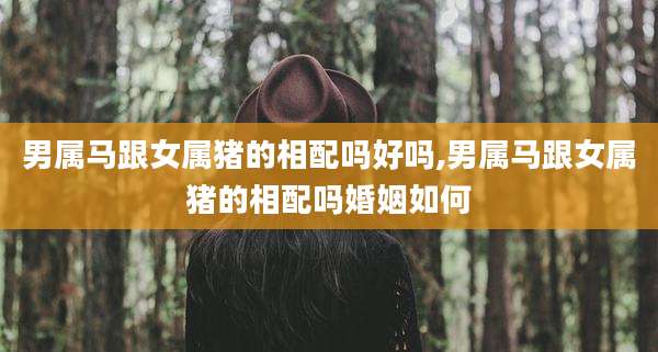 男属马跟女属猪的相配吗好吗,男属马跟女属猪的相配吗婚姻如何