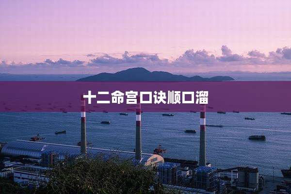 十二命宫口诀顺口溜