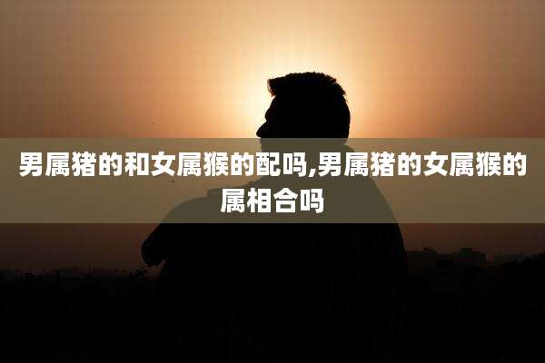 男属猪的和女属猴的配吗,男属猪的女属猴的属相合吗