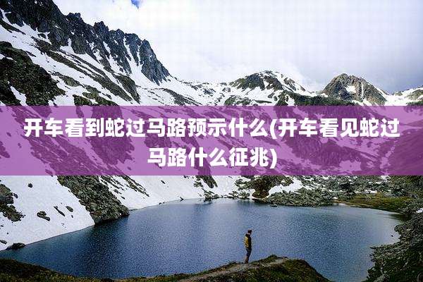 开车看到蛇过马路预示什么(开车看见蛇过马路什么征兆)