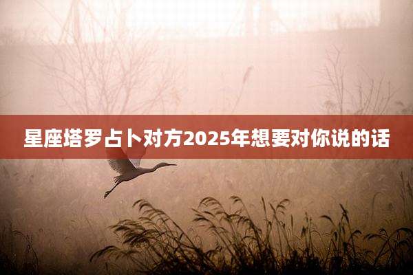 星座塔罗占卜对方2025年想要对你说的话