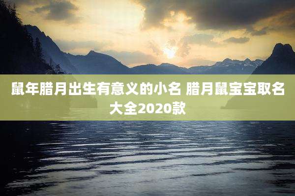 鼠年腊月出生有意义的小名 腊月鼠宝宝取名大全2020款