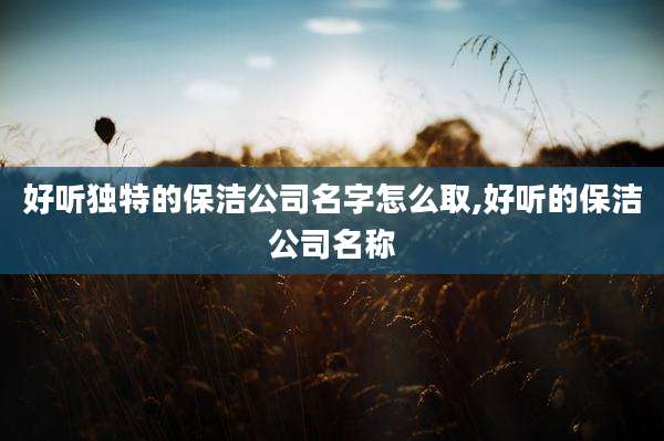 好听独特的保洁公司名字怎么取,好听的保洁公司名称
