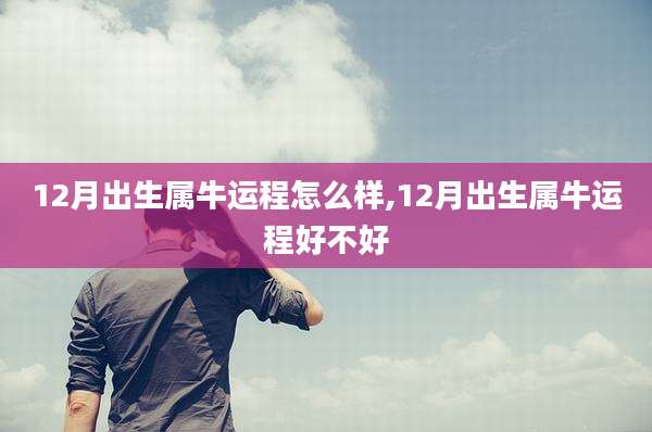 12月出生属牛运程怎么样,12月出生属牛运程好不好